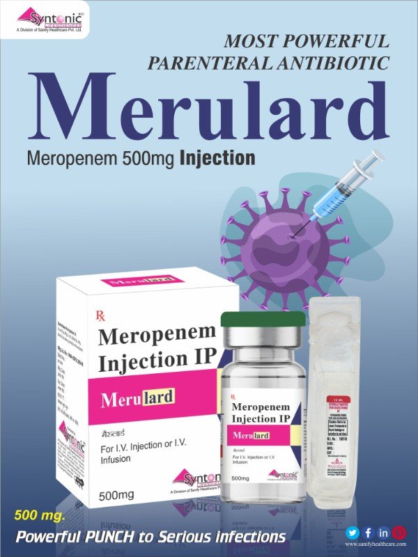 MERUlard-500